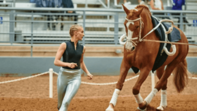 How can one learn equestrian vaulting?