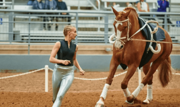 How can one learn equestrian vaulting?