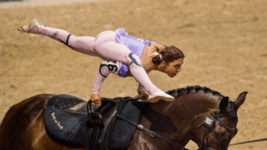 How can one train a horse for equestrian vaulting?