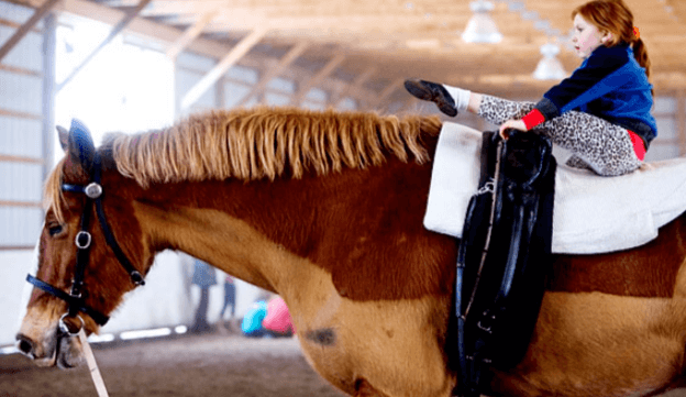 What are the basic moves in equestrian vaulting?