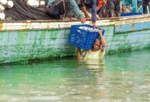 job market and legal implications