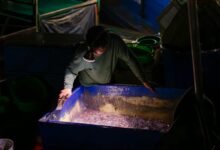 judicial process cost impact