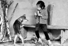 create dog little alchemy