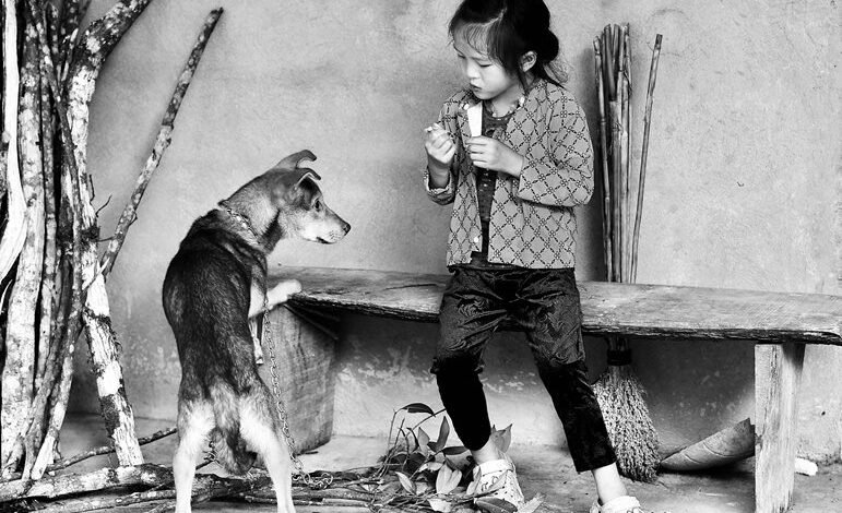 create dog little alchemy