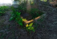 increase instagram followers quickly