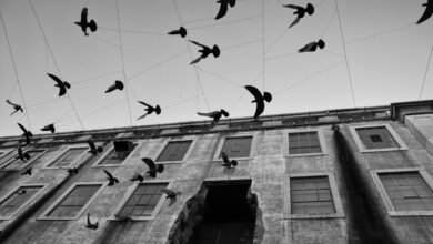 infinite momentum in motion