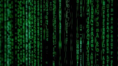 reliable corporate tech contact